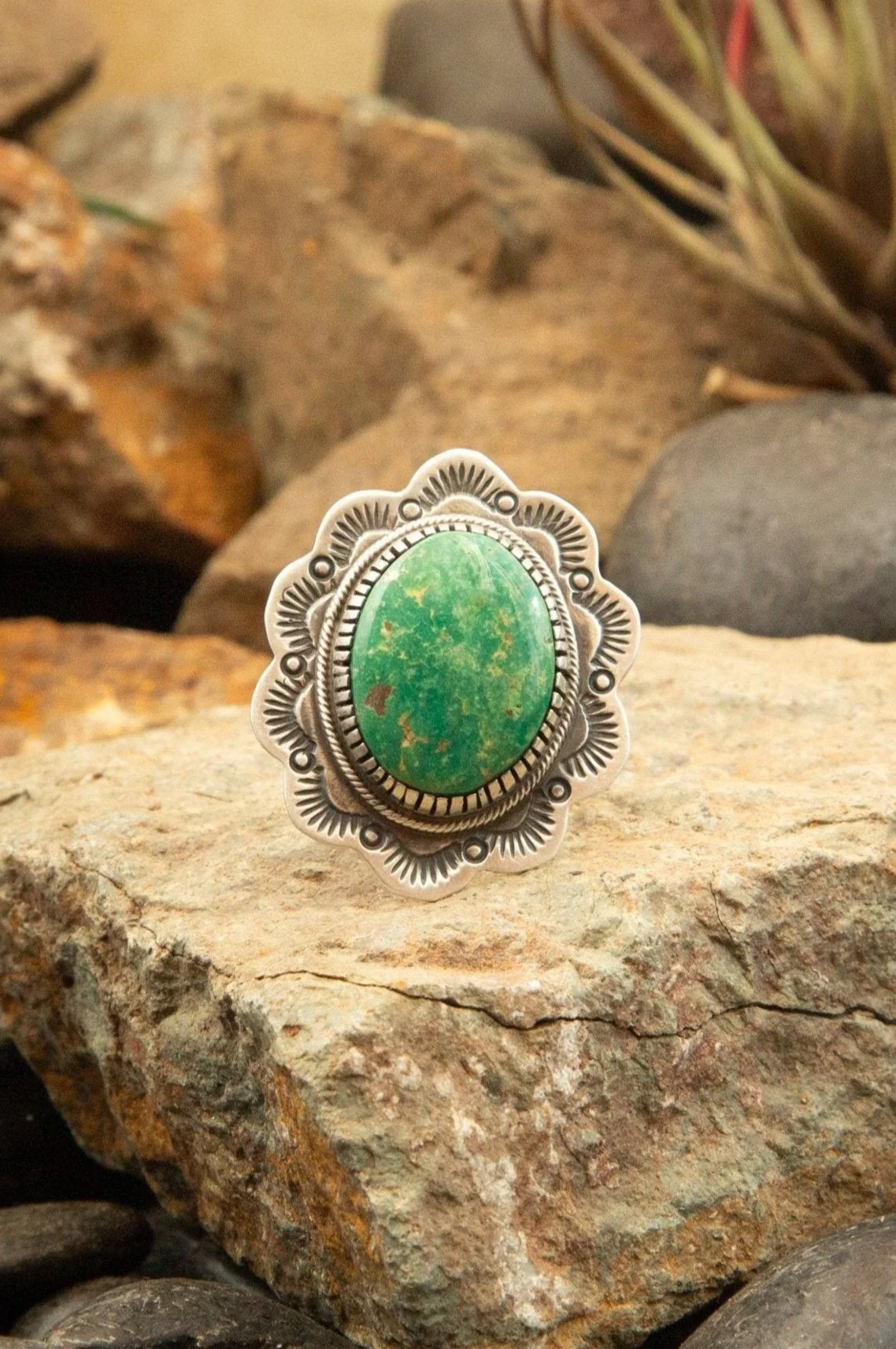 The Turquoise Concho Ring, 1 Sz. 8